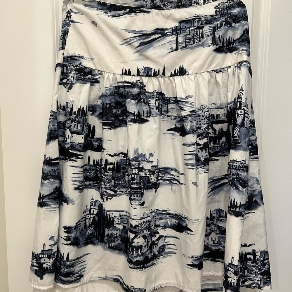 Scenic Print Women's Skirt